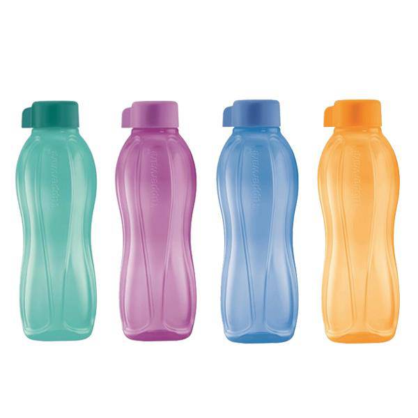 ecobottle750 - How To Choose The Perfect Tupperware To Carry Our Food?